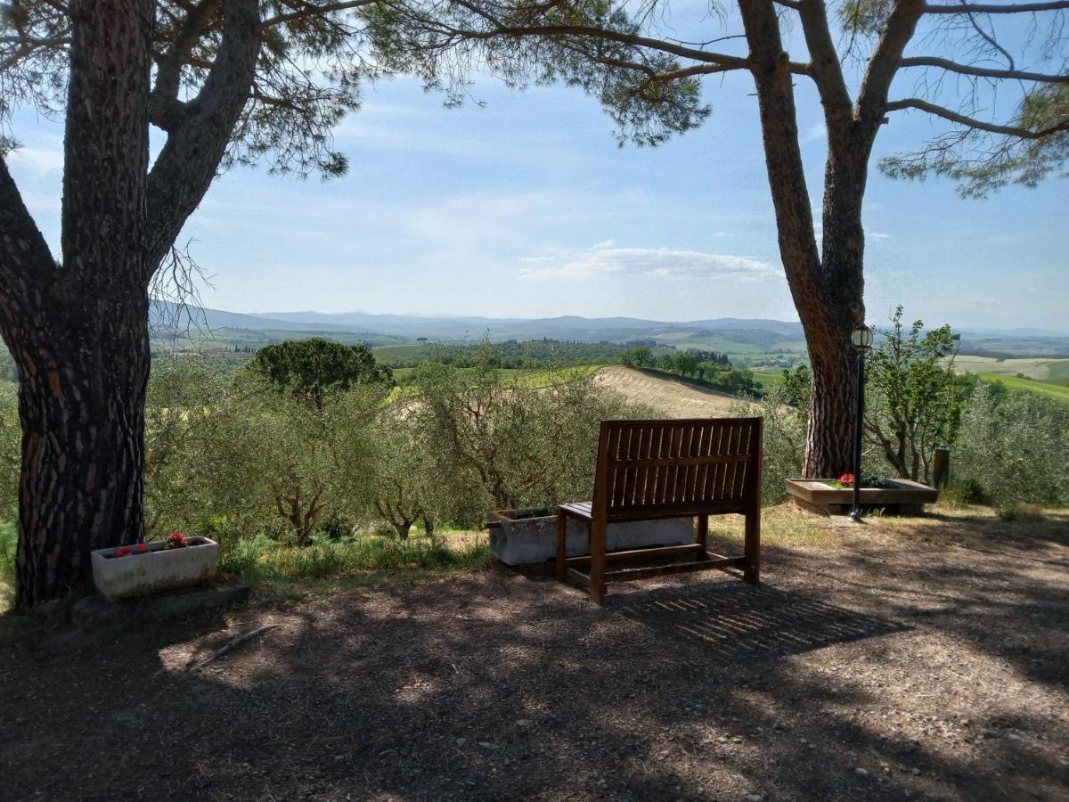 Agriturismo Collesassi Montalcino Exterior foto