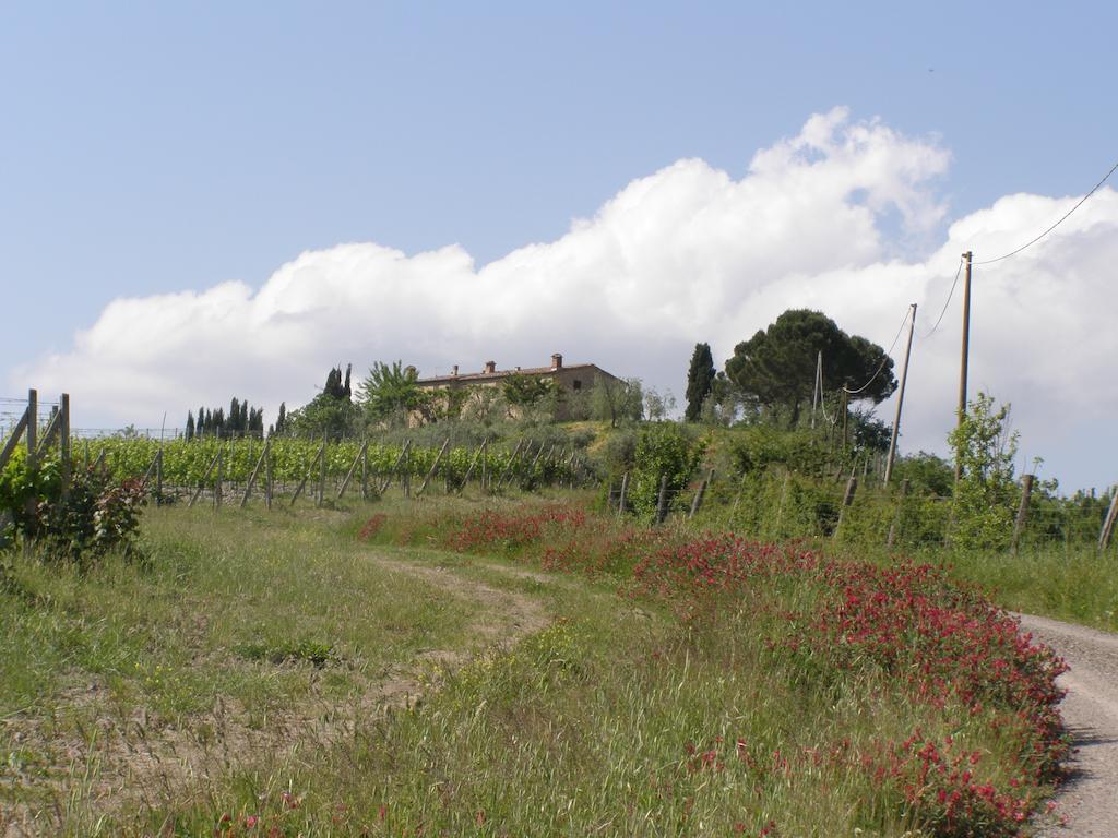 Agriturismo Collesassi Montalcino Exterior foto